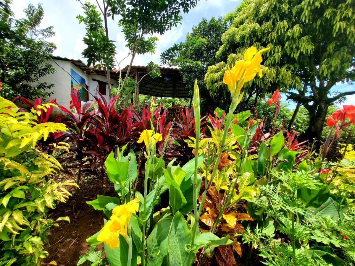 The Jungle Villa Merida Exterior photo