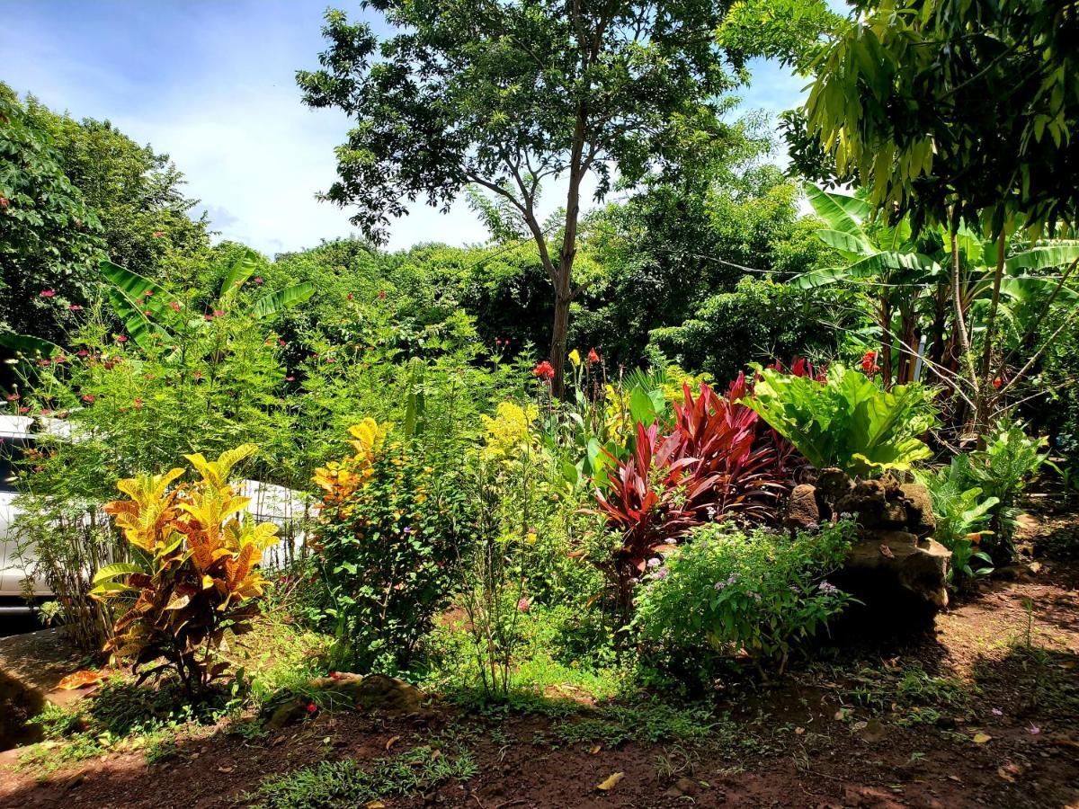 The Jungle Villa Merida Exterior photo