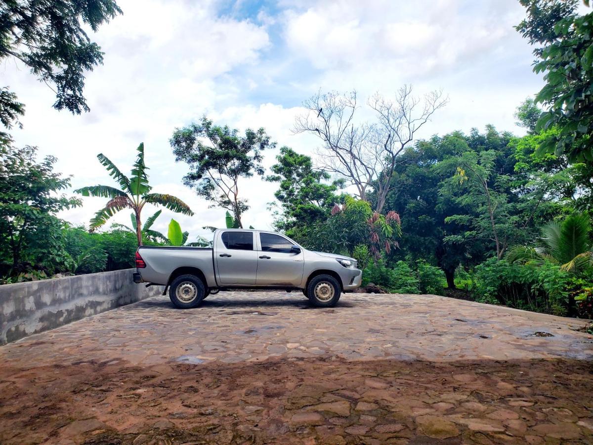 The Jungle Villa Merida Exterior photo