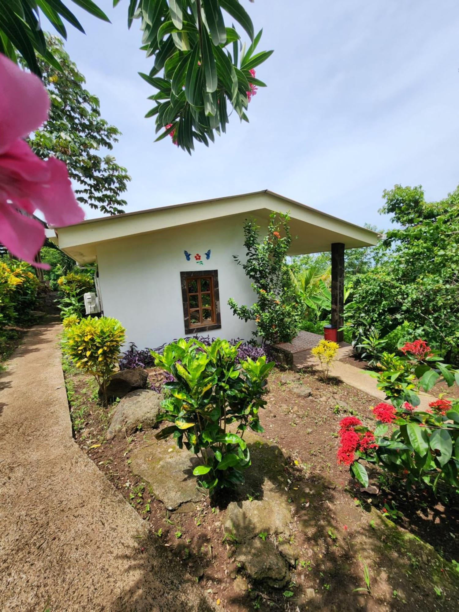 The Jungle Villa Merida Exterior photo